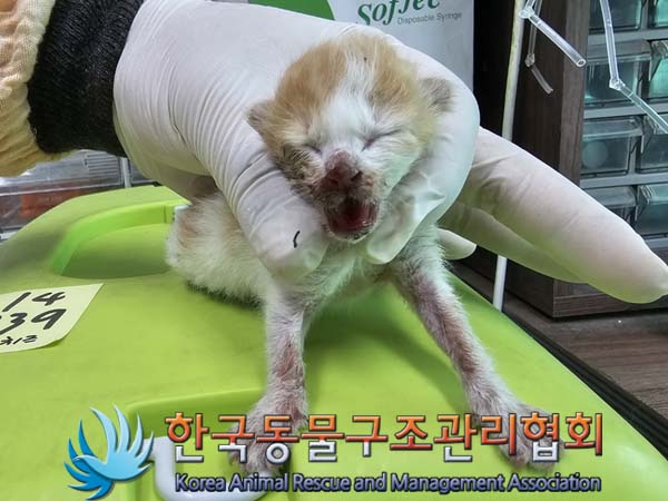 종료(자연사) 한국…