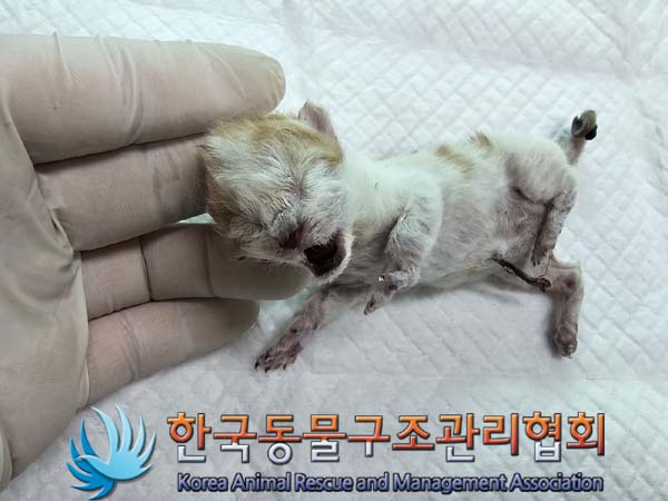 종료(자연사) 한국…