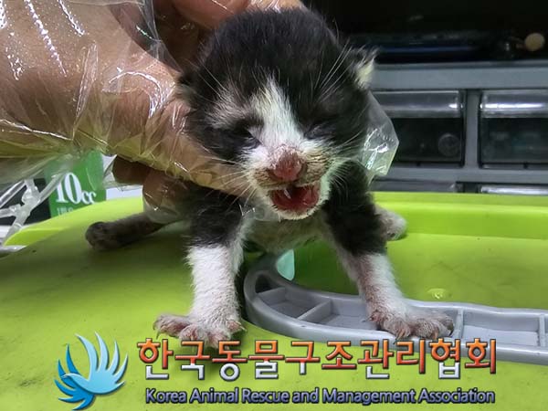 종료(자연사) 한국…