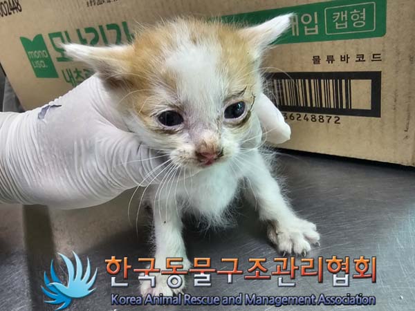 종료(자연사) 한국…