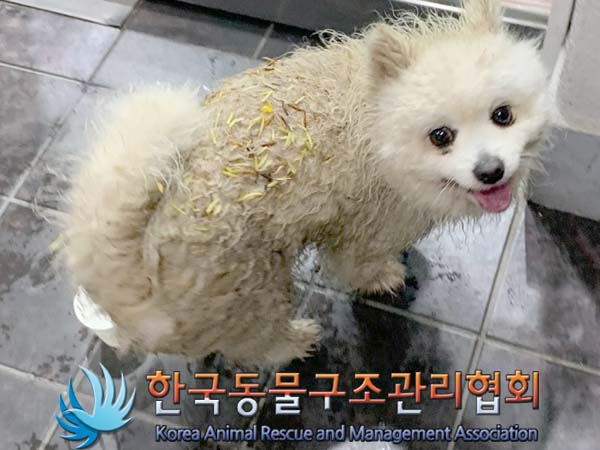 한국동물구조관리협회_441392202400130