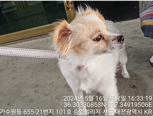 대전동물보호센터_430366202400219