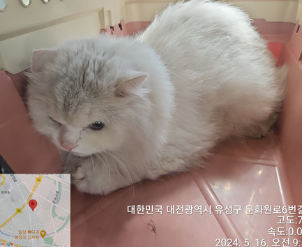 대전동물보호센터_430367202400365