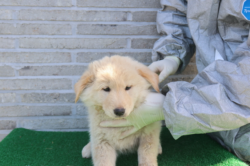 제주 동물보호센터_450650202401489