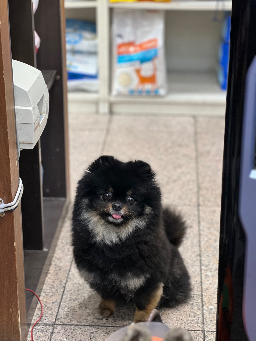 사랑동물병원_431370202400191