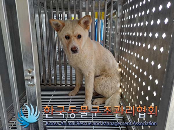 한국동물구조관리협회_441559202400536