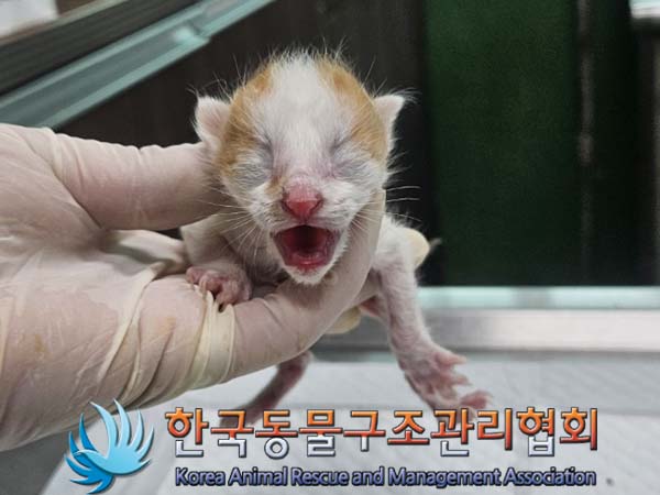 종료(자연사) 한국…