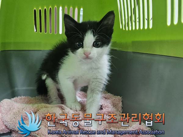 한국동물구조관리협회_411315202400244