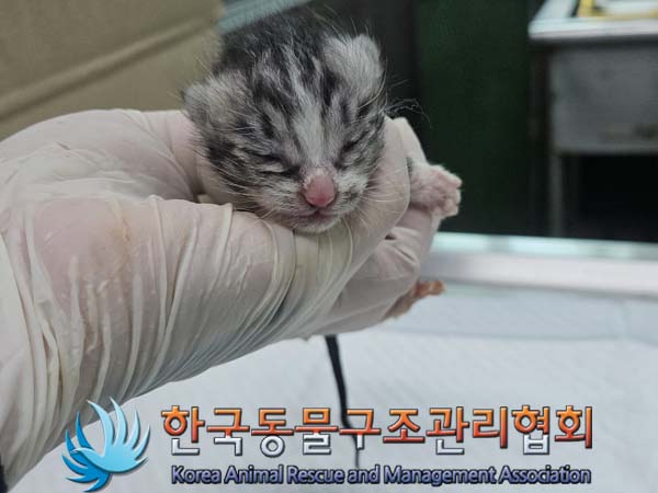 한국동물구조관리협회_441409202400656