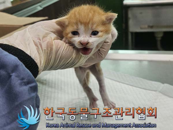 종료(자연사) 한국…
