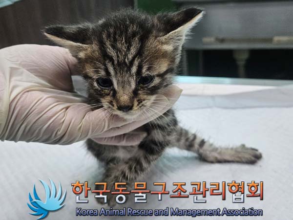 종료(자연사) 한국…