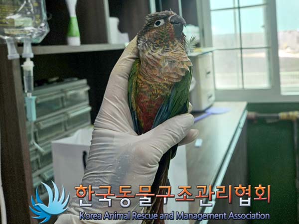한국동물구조관리협회_411318202400189