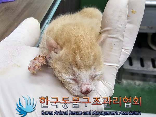 한국동물구조관리협회_441409202400664