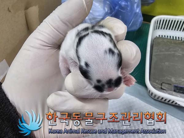종료(입양) 토끼의…