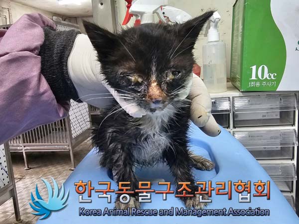 종료(자연사) 한국…