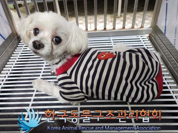 한국동물구조관리협회_411315202400245