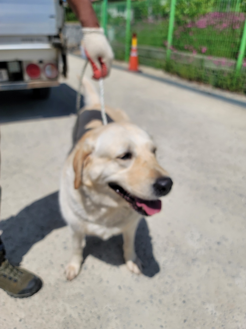 가정견훈련소_443557202400045