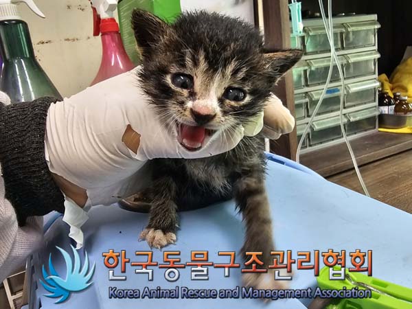 종료(자연사) 한국…