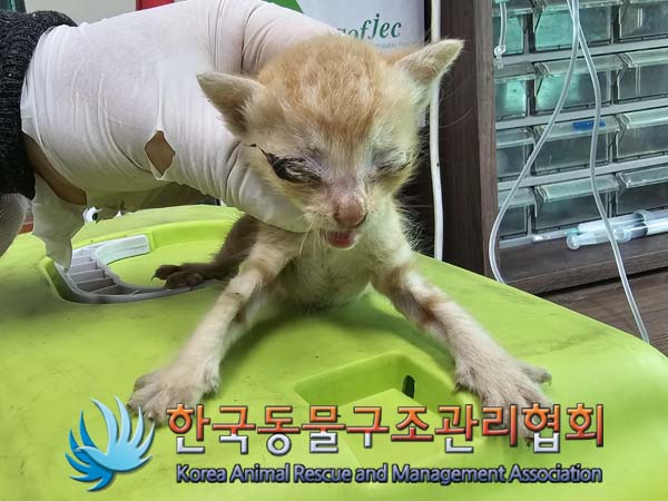 종료(자연사) 한국…
