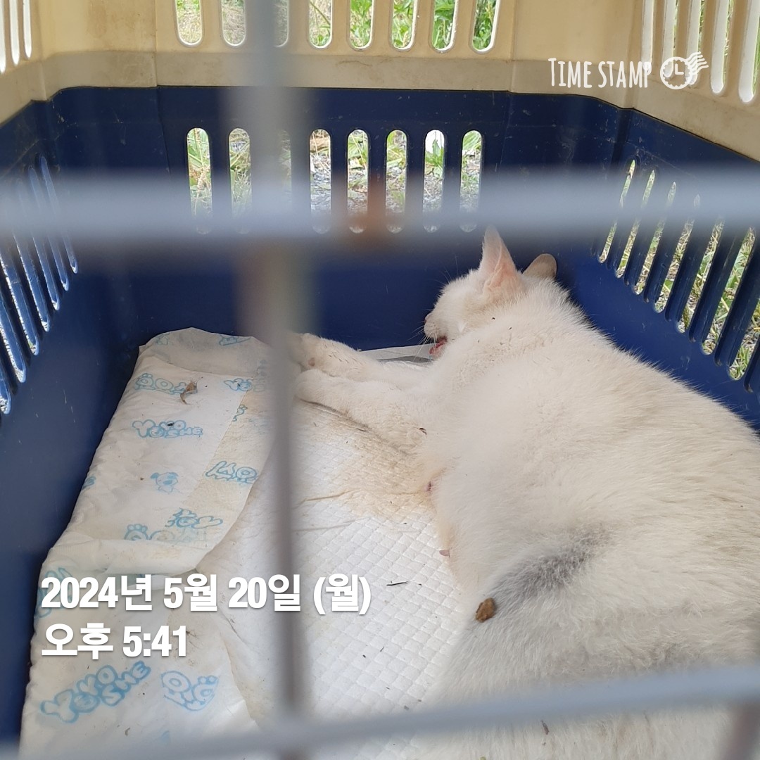종료(자연사) 한국…