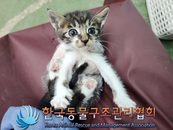 종료(자연사) 한국…