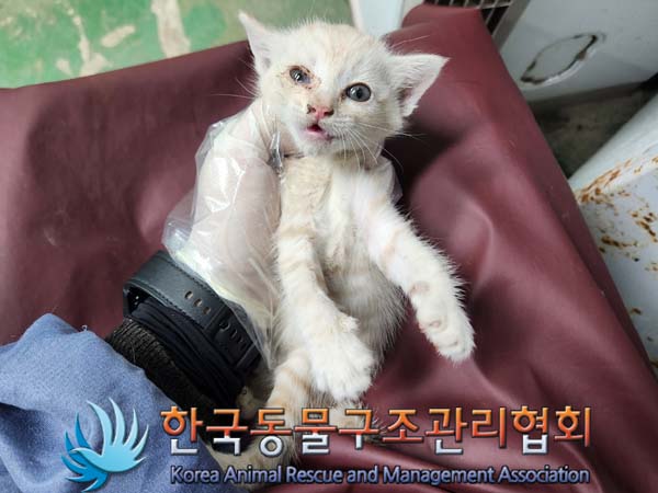 종료(자연사) 한국…