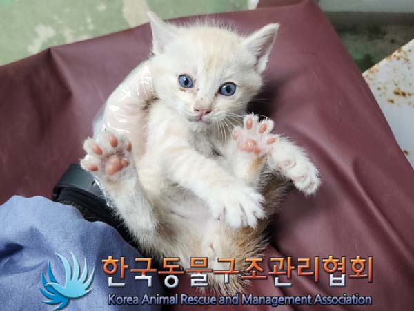 종료(자연사) 한국…