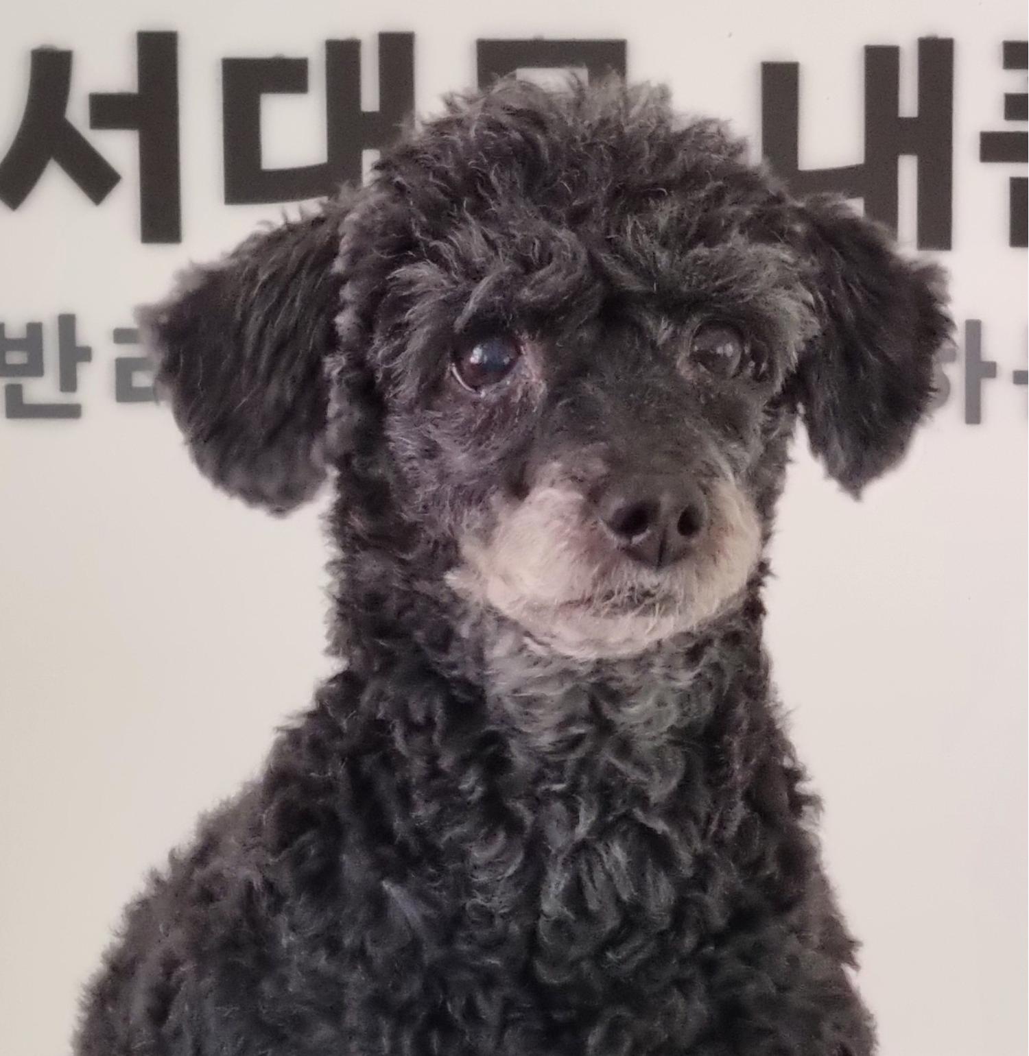 내품애센터_411312202400443
