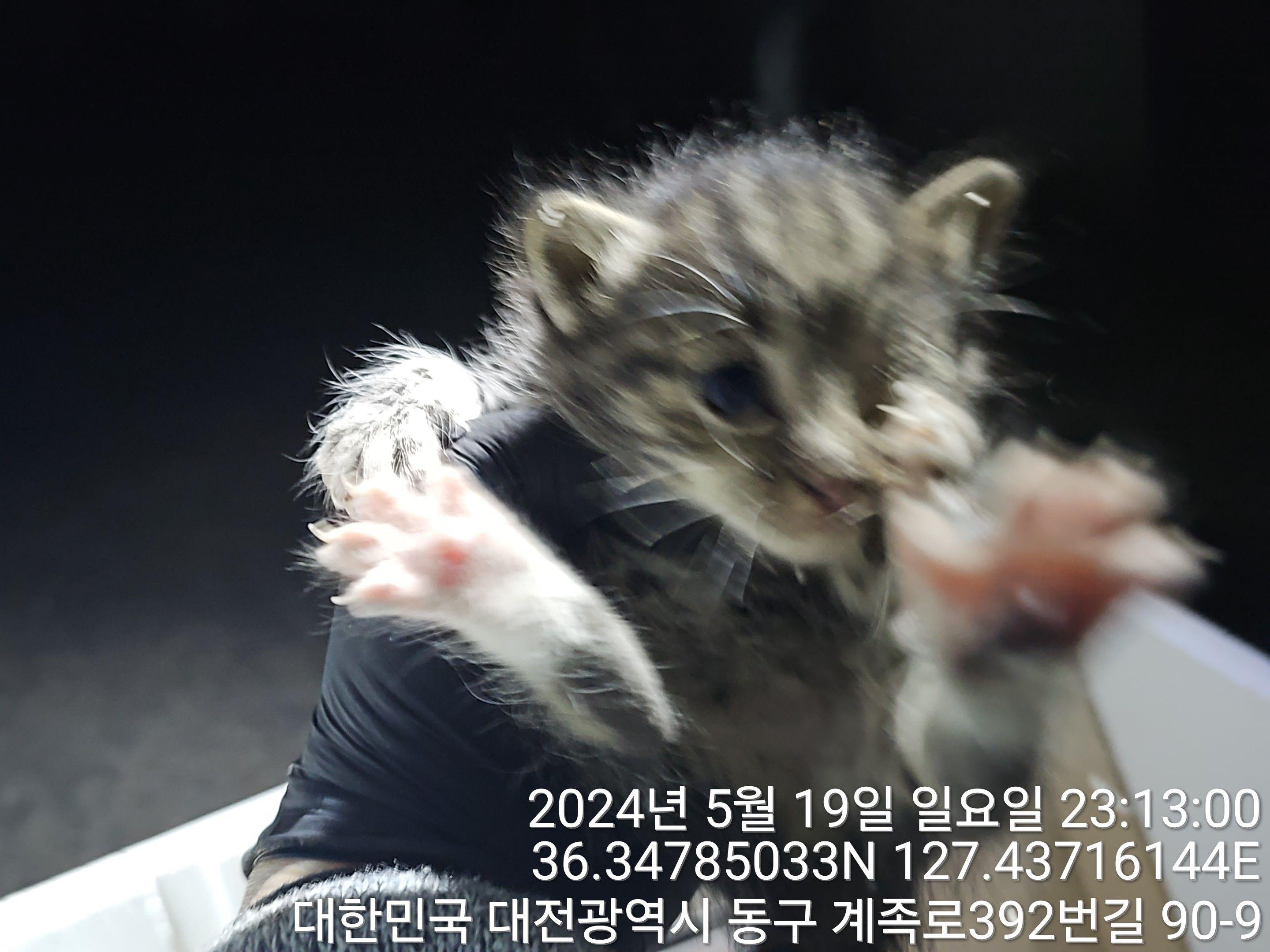 종료(자연사) 한국…