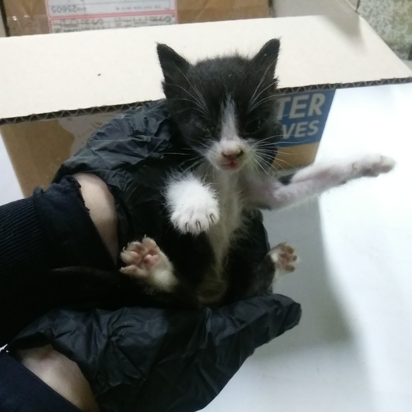 종료(자연사) 한국…