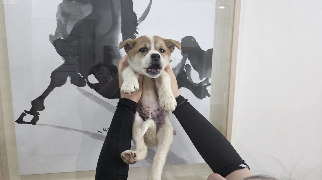 박영재동물병원_445464202401691