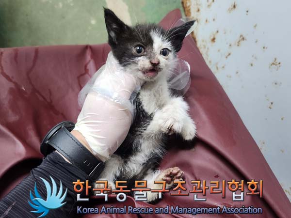 종료(자연사) 한국…