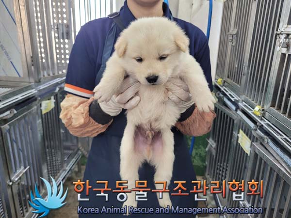 종료(안락사) 믹스…