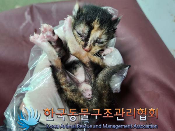 종료(자연사) 한국…