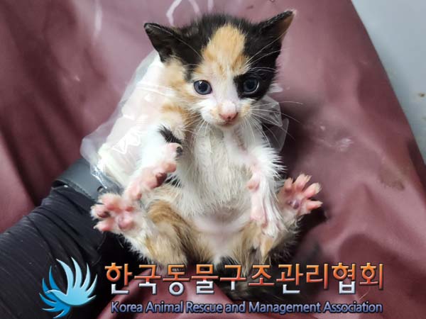 종료(자연사) 한국…