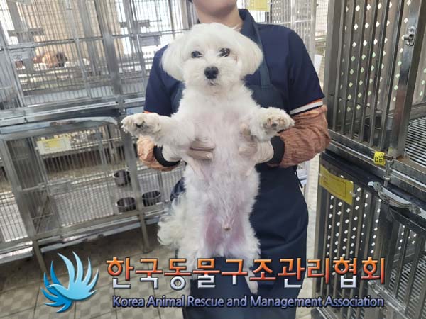 한국동물구조관리협회_411307202400229