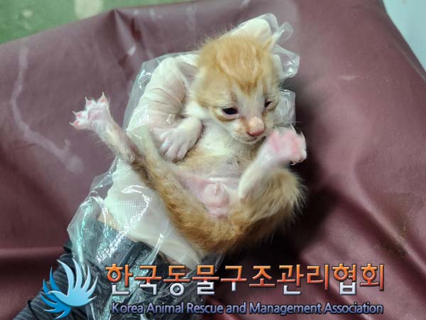 종료(자연사) 한국…