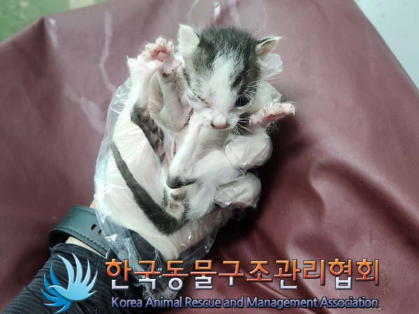 종료(자연사) 한국…