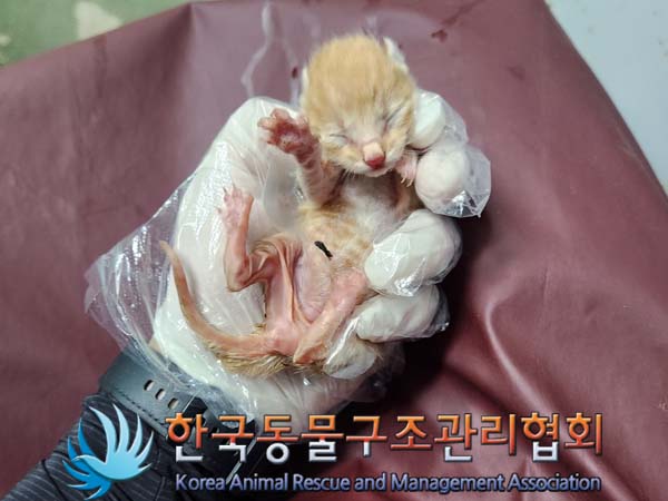 종료(자연사) 한국…
