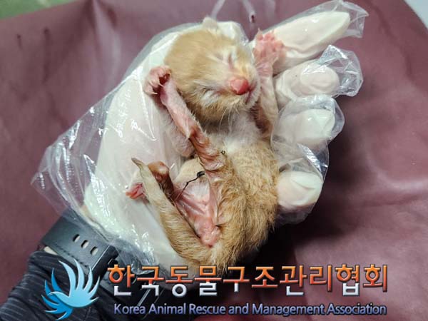 종료(자연사) 한국…