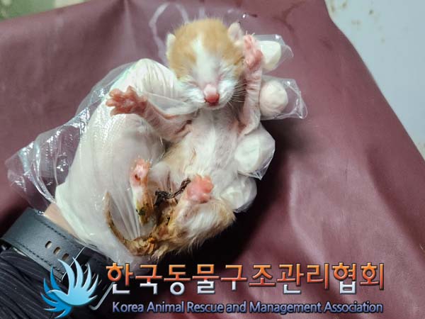 한국동물구조관리협회_411317202400150