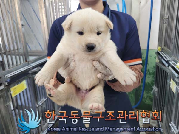 종료(안락사) 믹스…