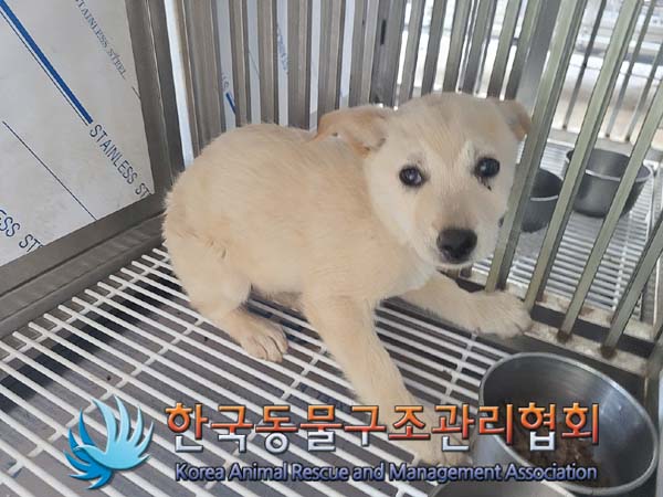 종료(안락사) 믹스…