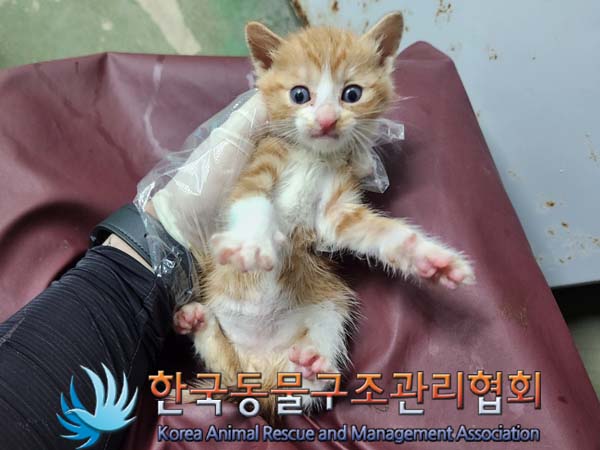 종료(자연사) 한국…