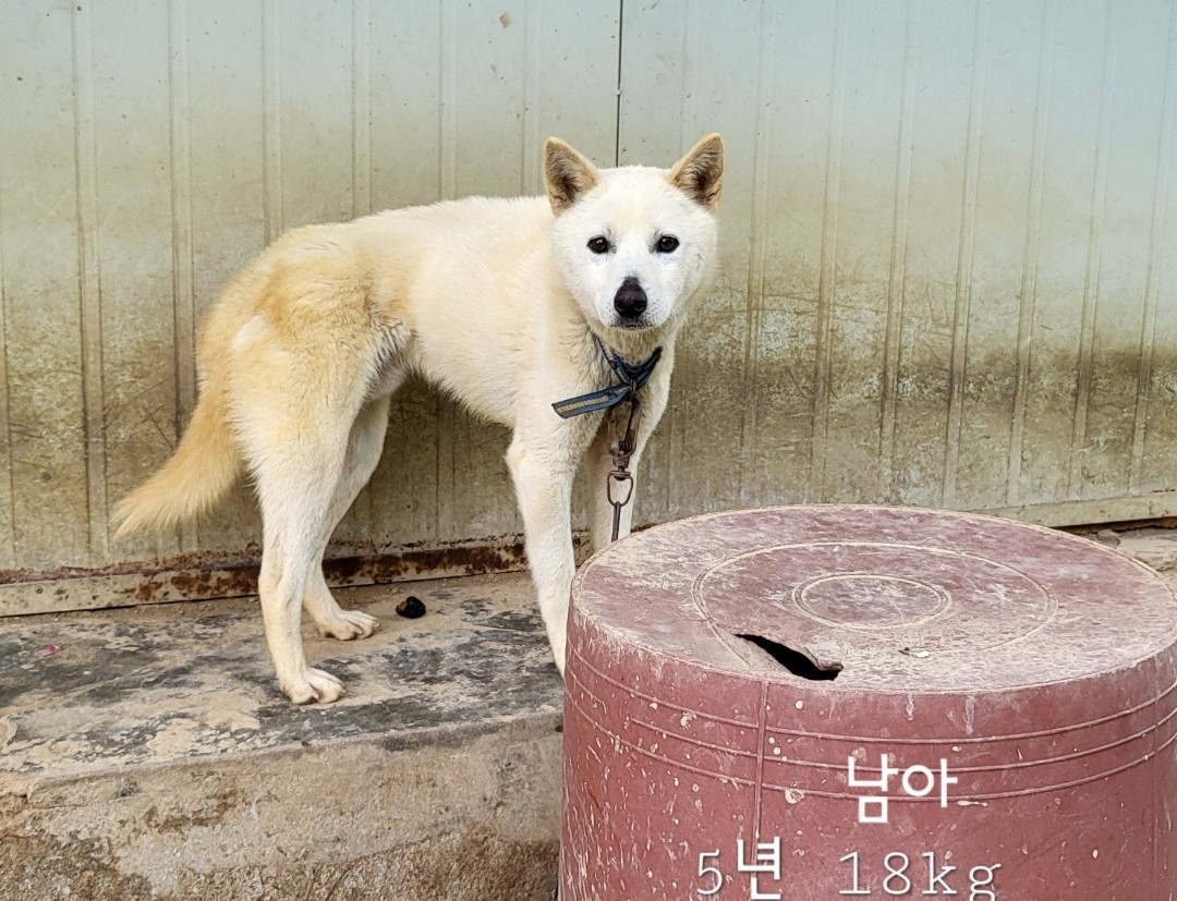 옥천동물병원_443443202400495