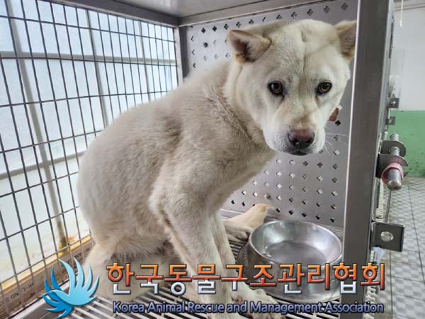 종료(안락사) 믹스…