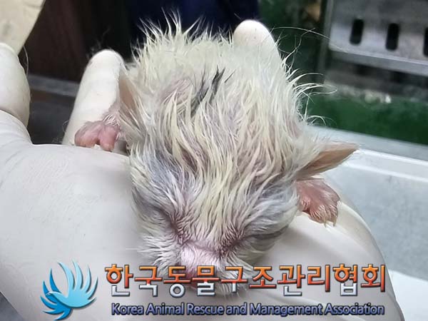 종료(자연사) 한국…