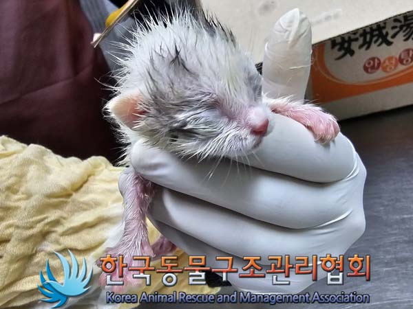 종료(자연사) 한국…