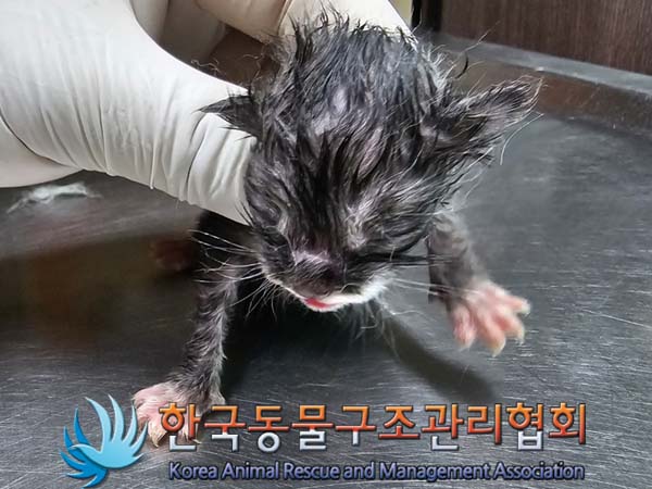 한국동물구조관리협회_441560202400555