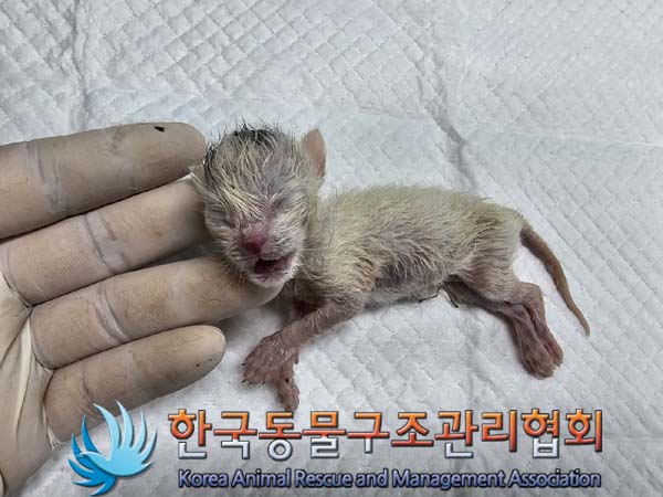 한국동물구조관리협회_441560202400559